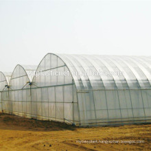 uv polyethylene film for vegetable winter protection